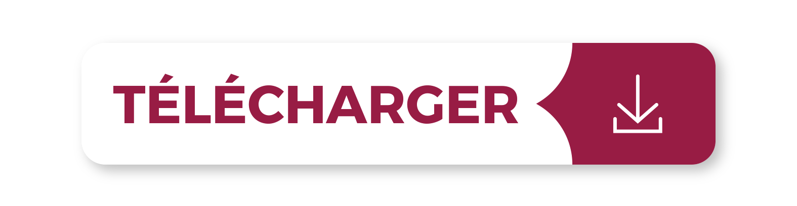 Téléchargements